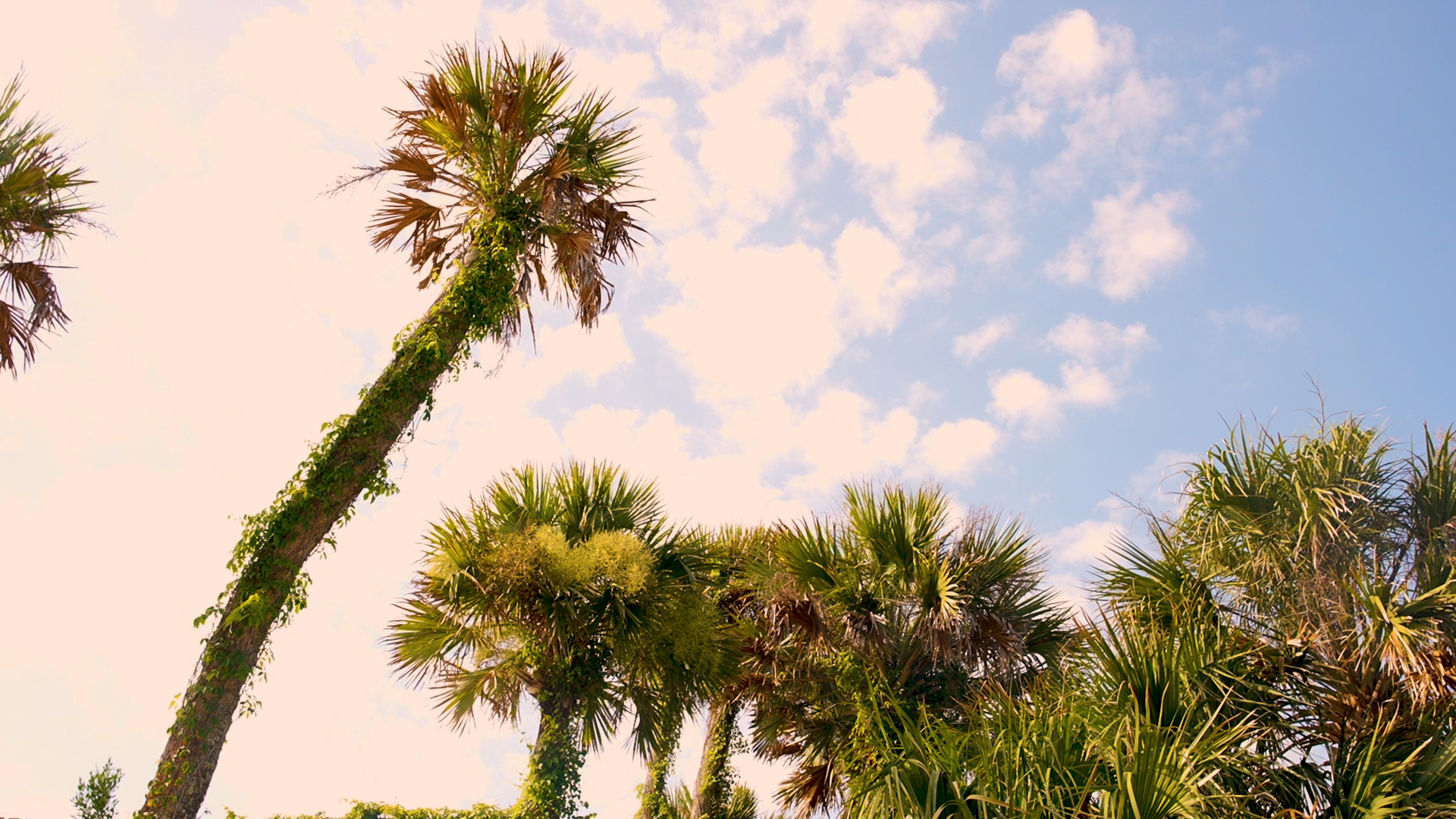 Top 10 Things to Do in Ponte Vedra Beach, Florida header image.