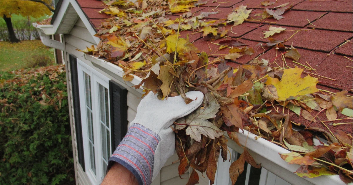 From Summer to Fall: Essential Home Maintenance Tips for Eau Claire Homeowners