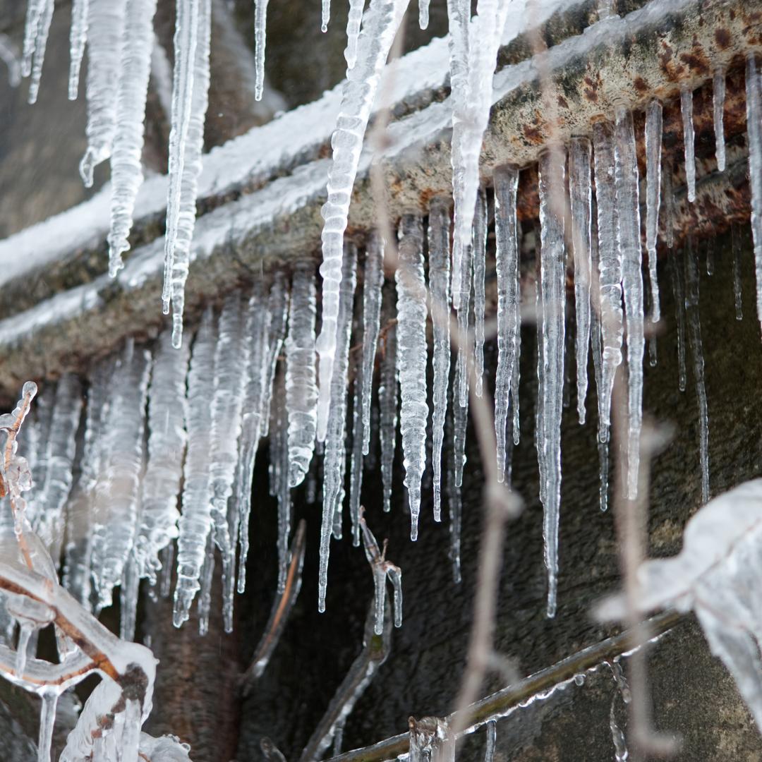 It is that time of year again. header image.