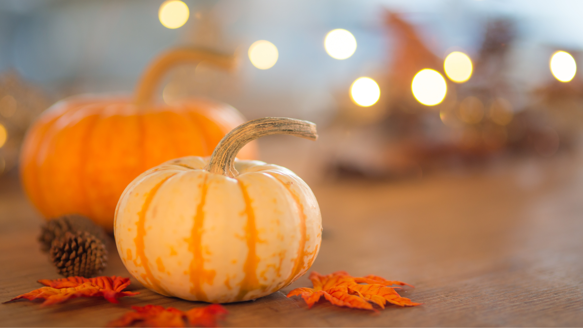 Why Homeowners Are Thankful They Own header image.