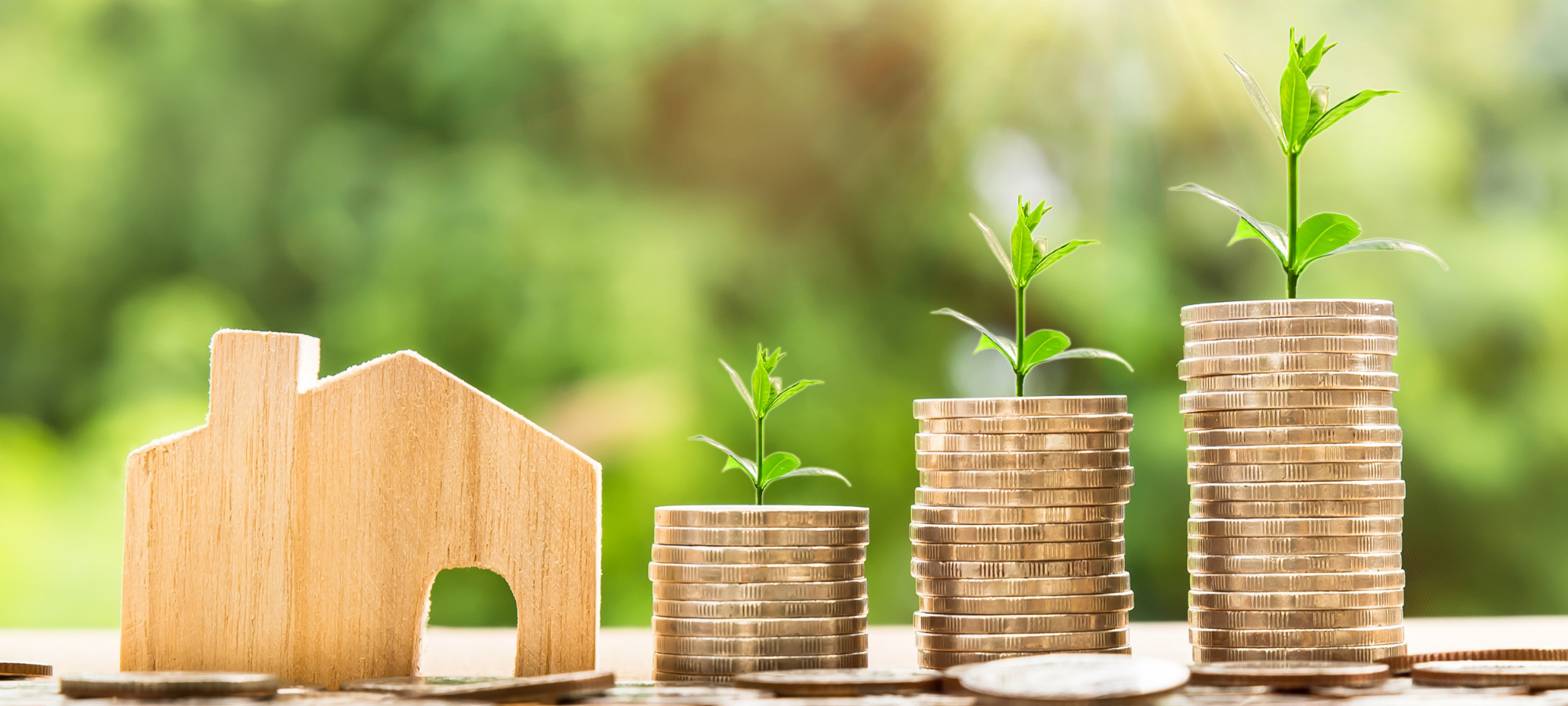 May 2019 Market Action Report header image.