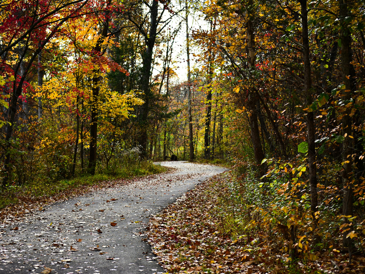 outdoor-trails-vienna-virginia