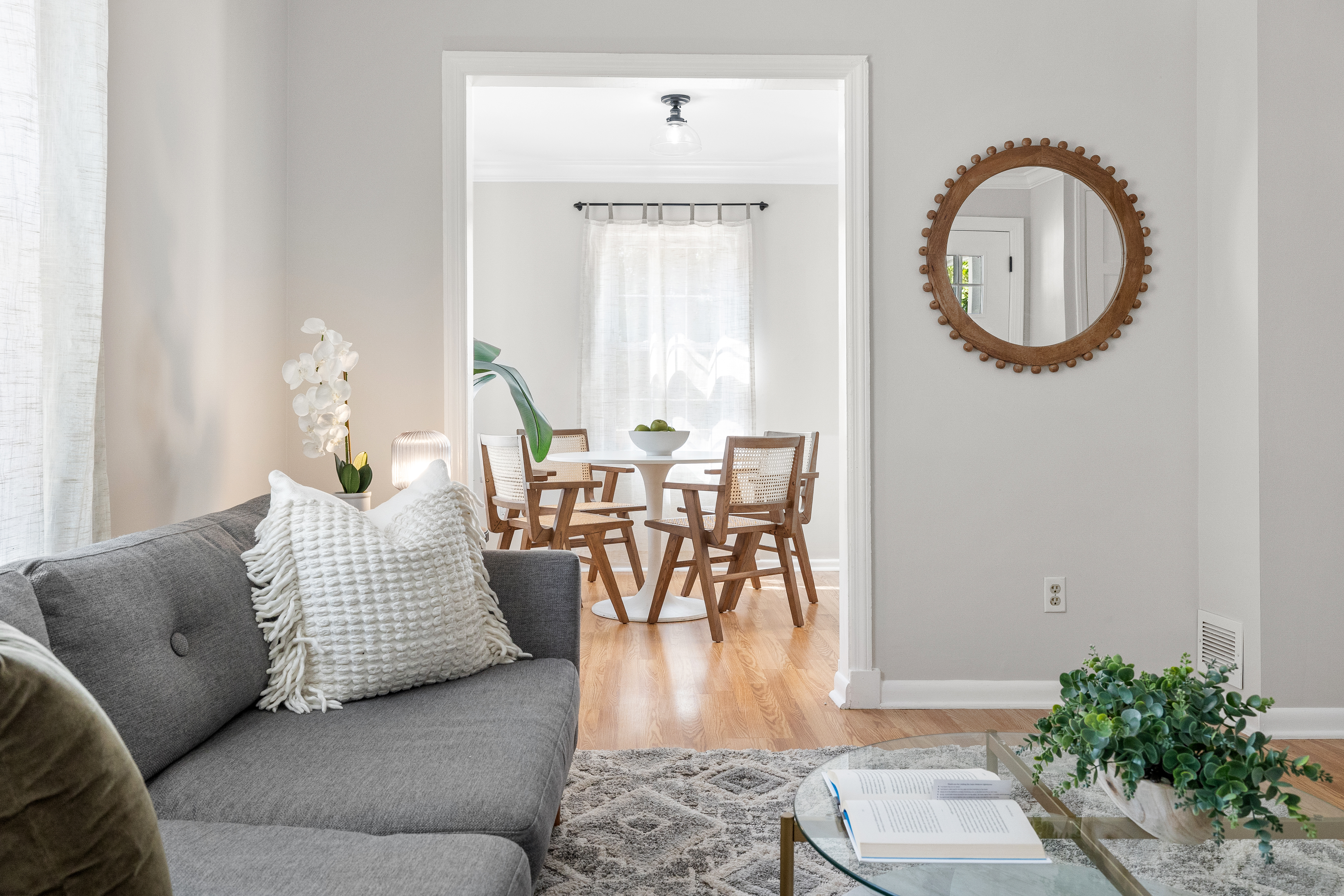 vienna viirginia living room