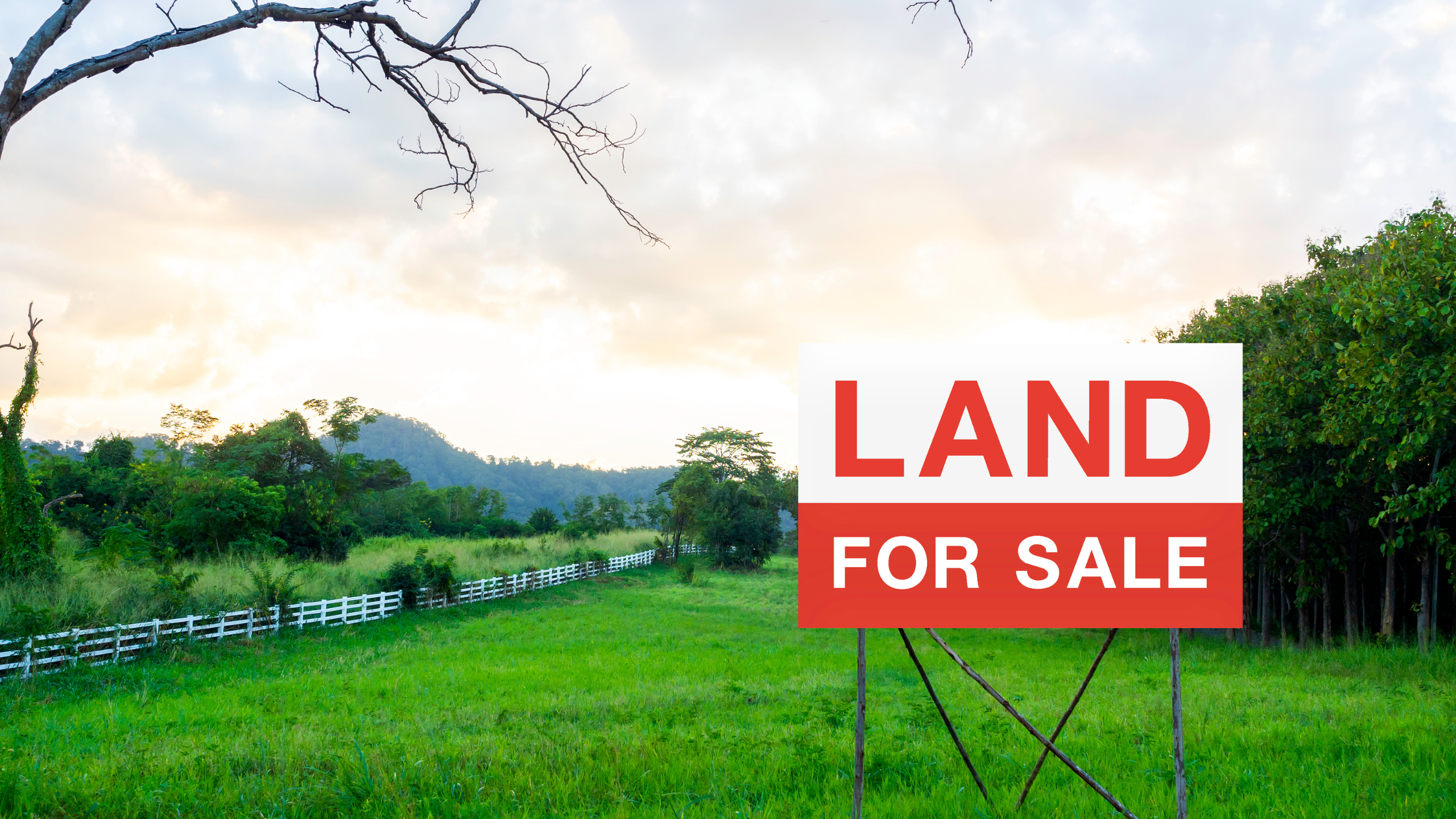 Reality Check: The Pricey Truth Behind Buying Land for Your Dream Home header image.
