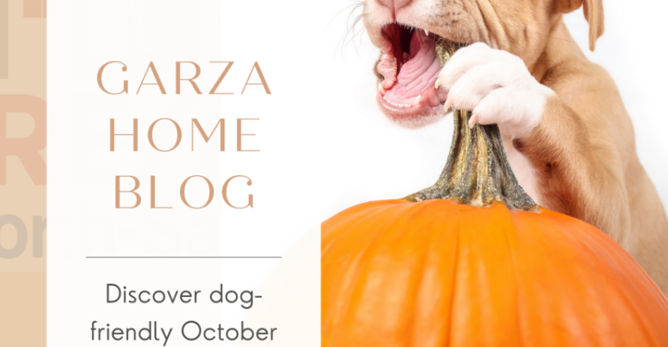 San Antonio’s Top 5 Dog-Friendly Activities for October header image.