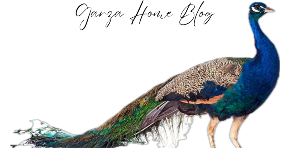 Peacocks in the Medical Center header image.