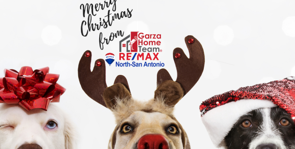 Merry Christmas from The Garza Home Team at RE/MAX North San Antonio header image.