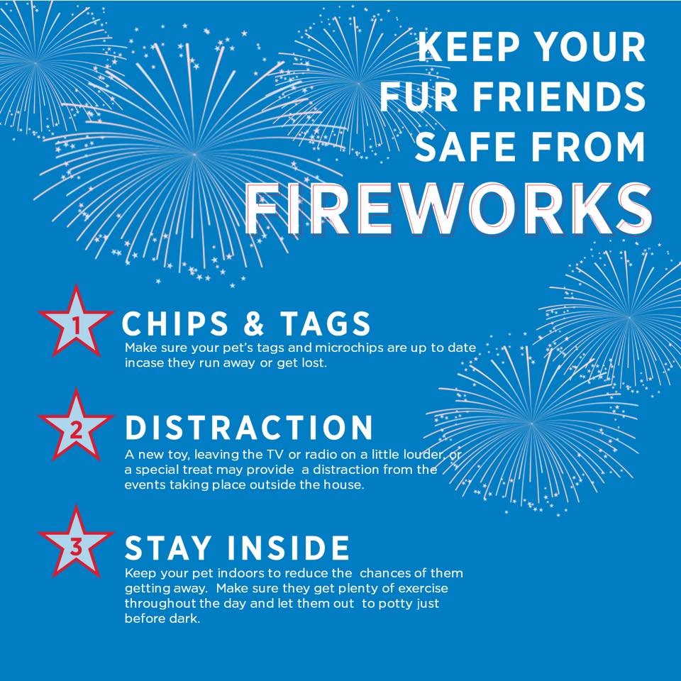 Keep your fur friends safe from fireworks header image.