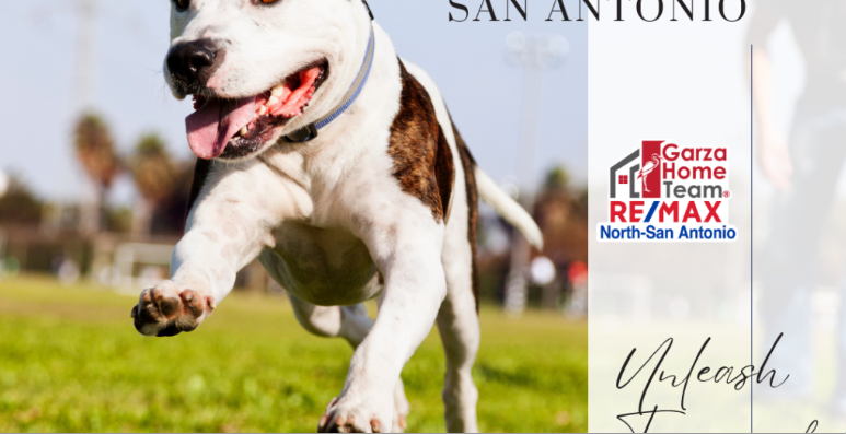 Unleash Fun and Adventure: The Top 3 Dog Parks in San Antonio header image.