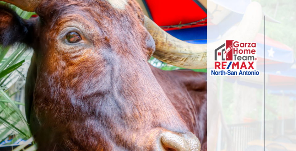 Discover the Best Local Hotspots in San Antonio: A Neighborhood Guide header image.