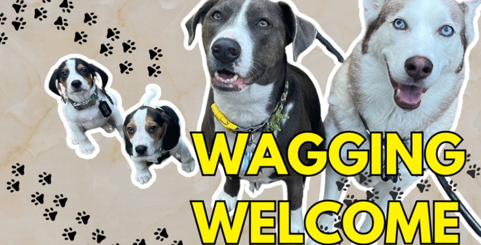 A Blast from the Past and a Wagging Welcome to the Future! header image.