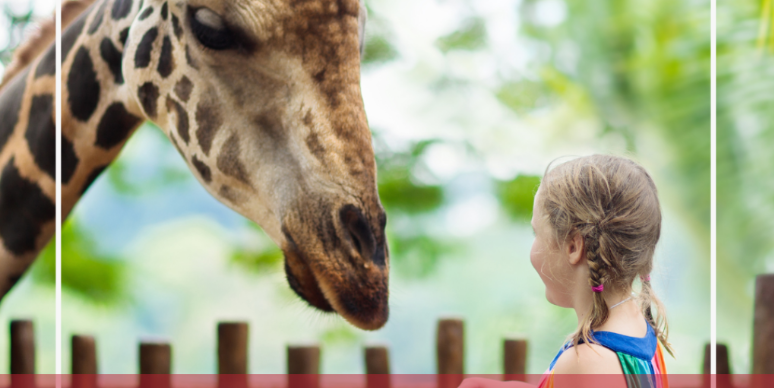 3 Exciting Activities to Enjoy with Your Kids in San Antonio header image.
