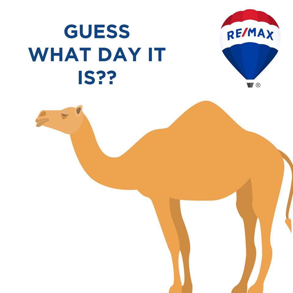 RE/MAX Humor header image.