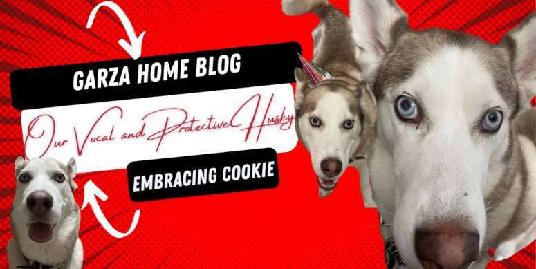 Embracing Cookie: Our Vocal and Protective Husky header image.