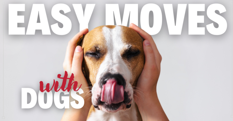 Moving with Your Dog: A Stress-Free Guide header image.