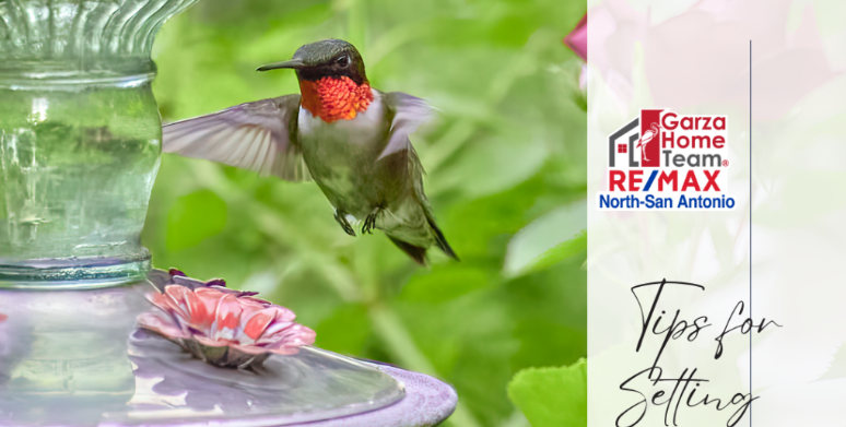 Attracting Hummingbirds: A Guide to Setting up Feeders and Preparing Nectar | Rosa’s Real Estate Blog header image.