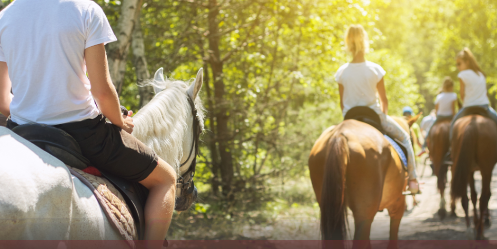 Saddle Up for Adventure: Best Places to Ride Horses in San Antonio header image.