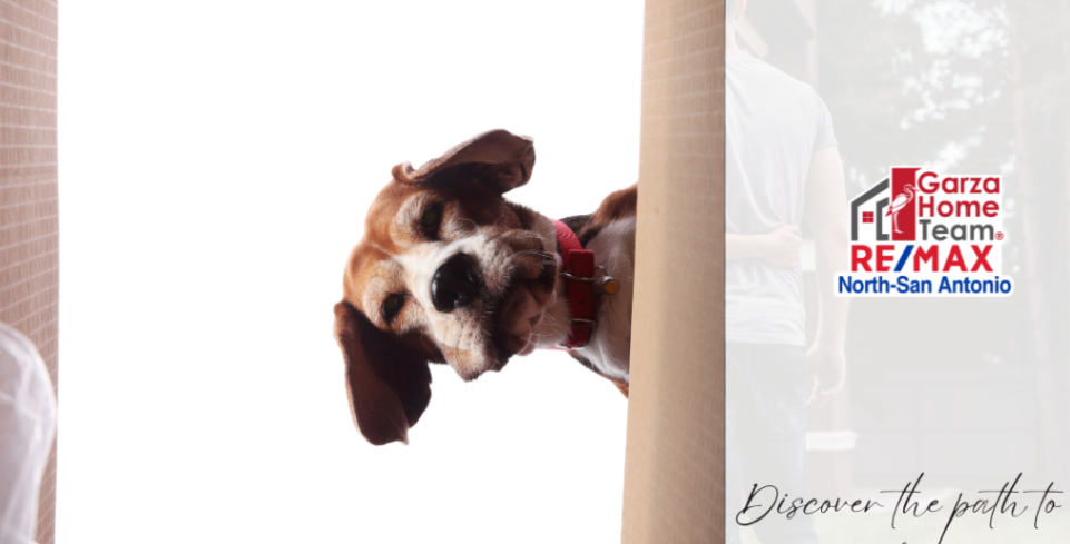 Empower Your Homeownership Journey: Should You Buy a House Now or Wait? header image.