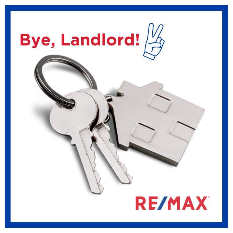Bye, Landlords header image.