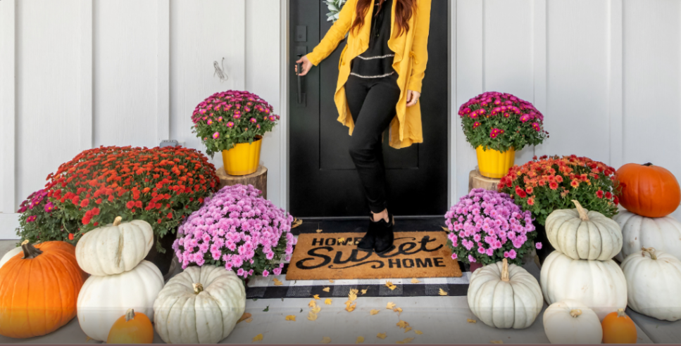 Hello, Curb Appeal: Your Front Door Makeover Guide! header image.
