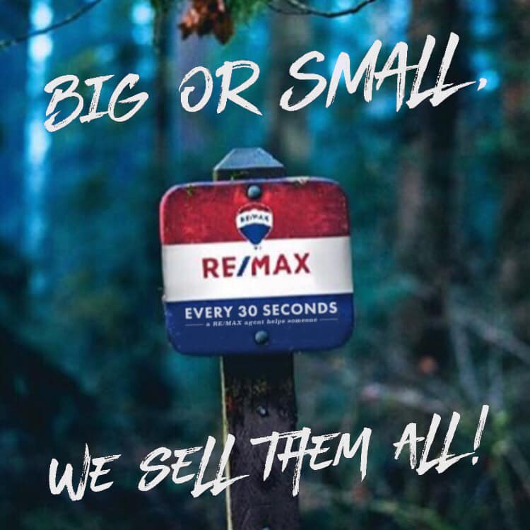 Big or Small We Sell it All header image.