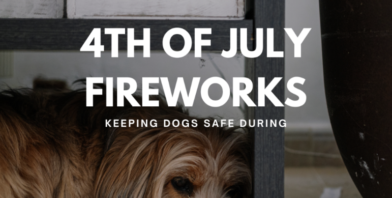Keeping Your Furry Friends Safe During 4th of July Fireworks header image.