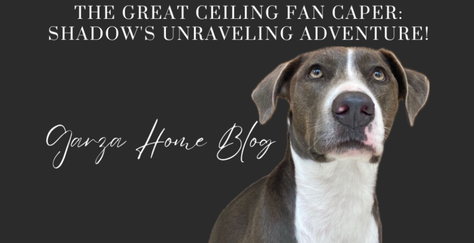 The Great Ceiling Fan Caper: Shadow’s Unraveling Adventure! header image.