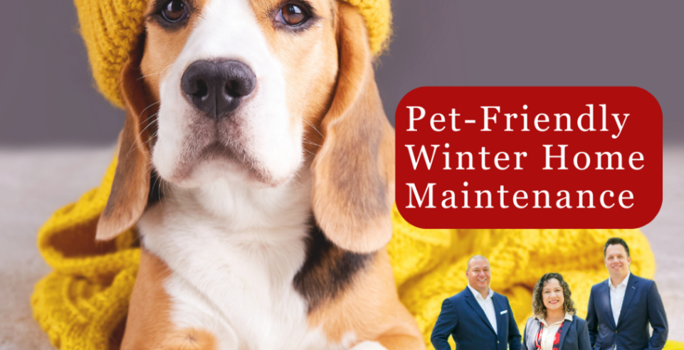 Pet-Friendly Winter Home Maintenance: Ensuring Cozy Spaces for Your Furry Friends header image.