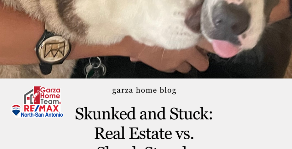 Skunked and Stuck: Real Estate vs. Skunk Stench Showdown header image.