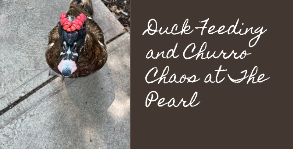 San Antonio Family Fun: Duck Feeding and Churro Chaos at The Pearl header image.