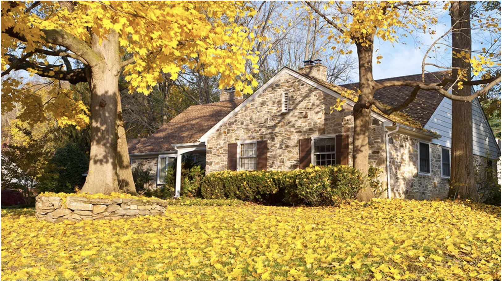 Is the Fall Real Estate Market Cooling or Heating Up? header image.