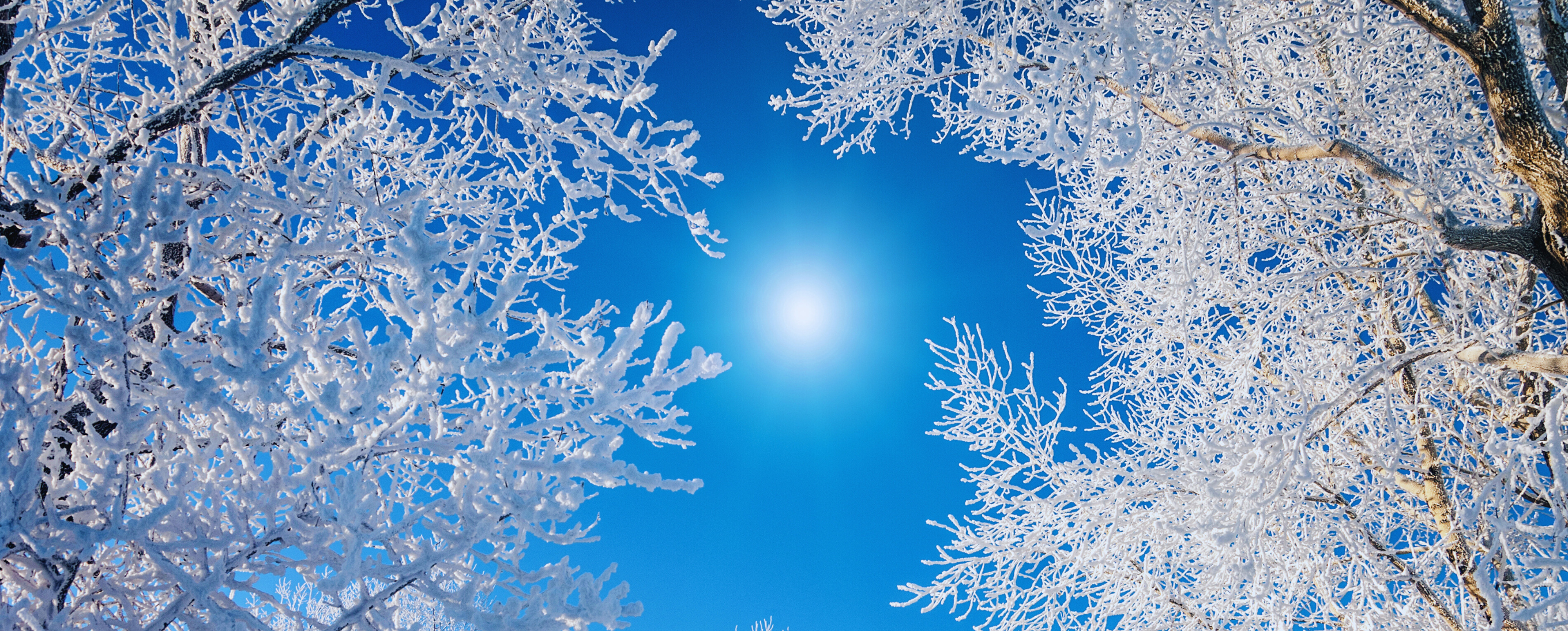 Staying Prepared: Winter Weather header image.