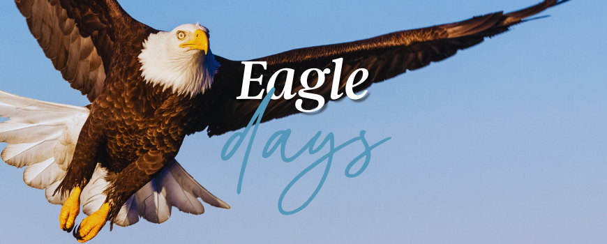 Eagle Days 2025 header image.