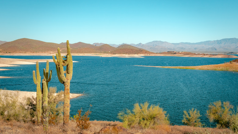 Moving to Peoria, Arizona: Your Complete Guide to Homes, Dining & Lifestyle header image.