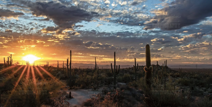 Summer is Here in AZ header image.