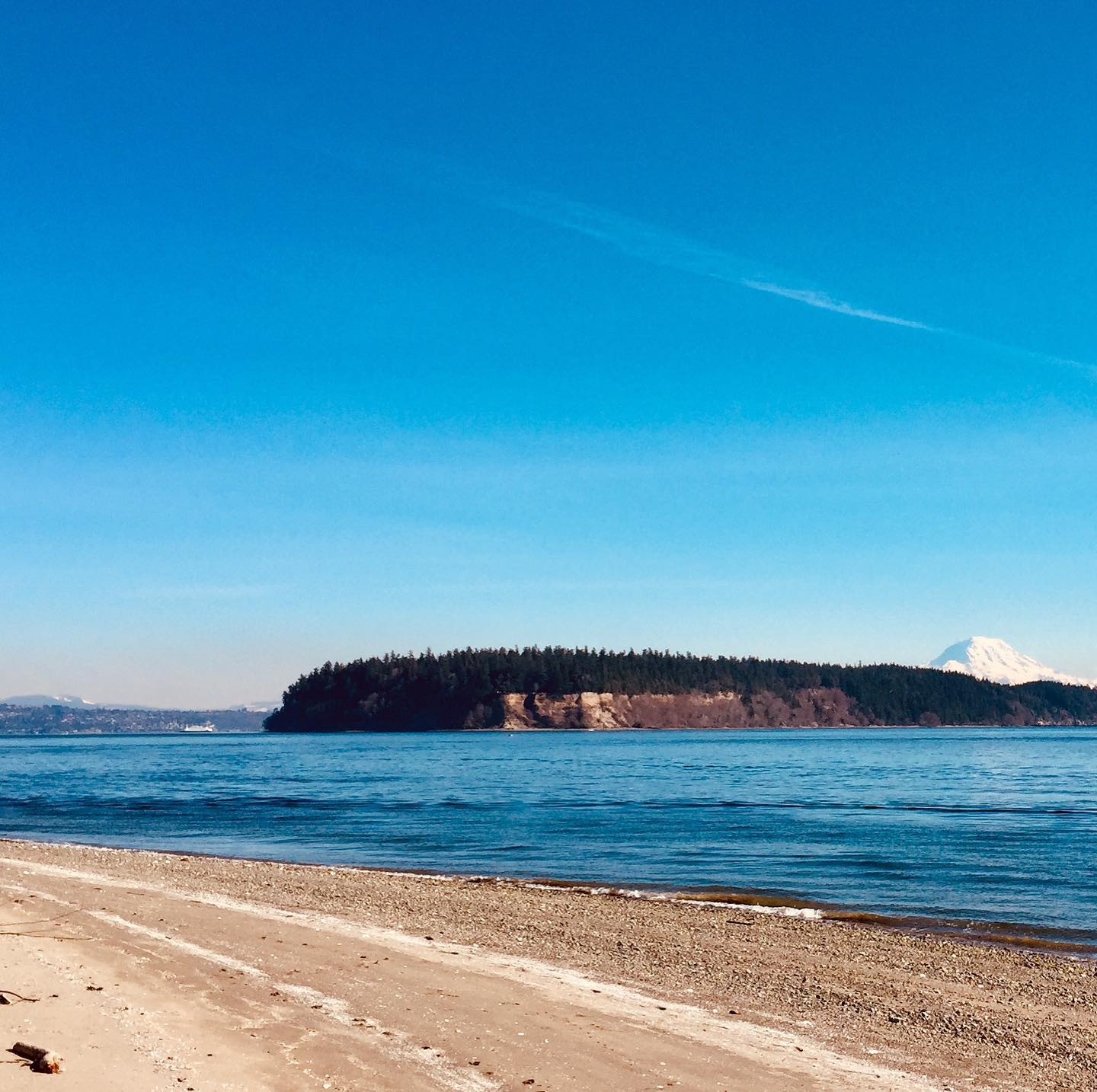 MARKET REPORT 3.15.2021 header image.