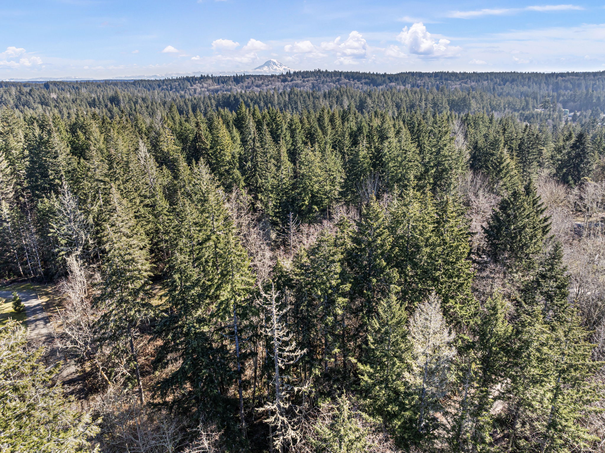 17520 103rd Ct NW, Gig Harbor, WA 98329 header image.