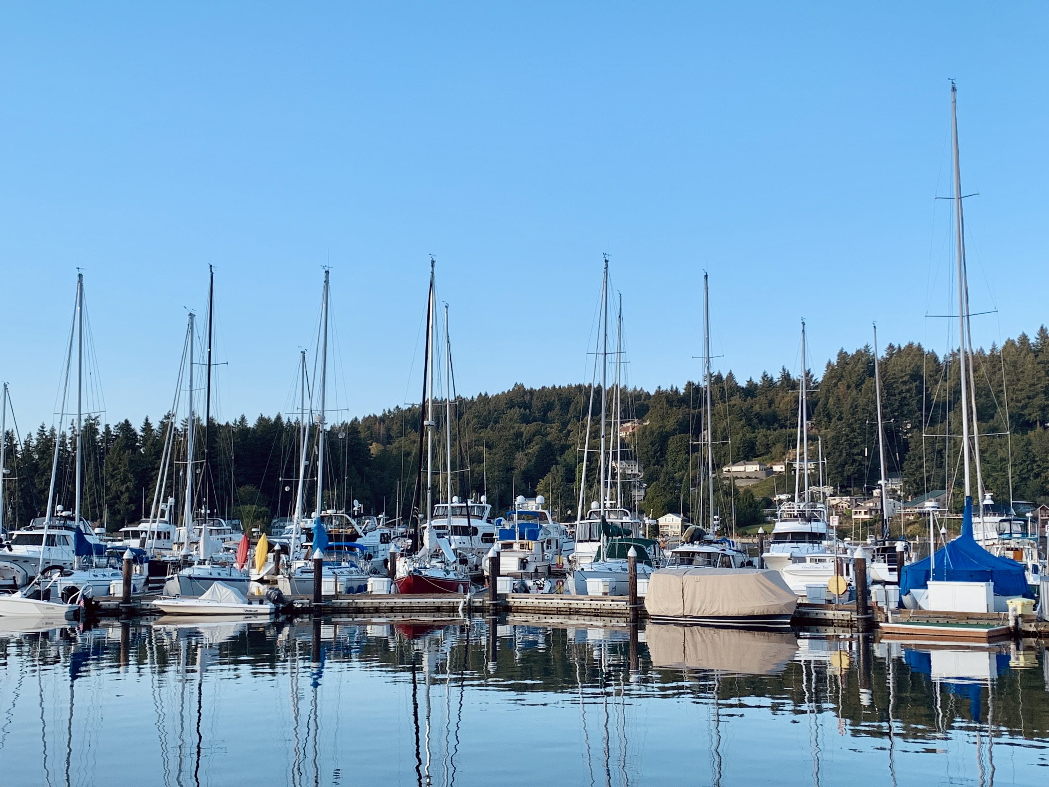 PAIGE'S MARKET THOUGHTS header image.