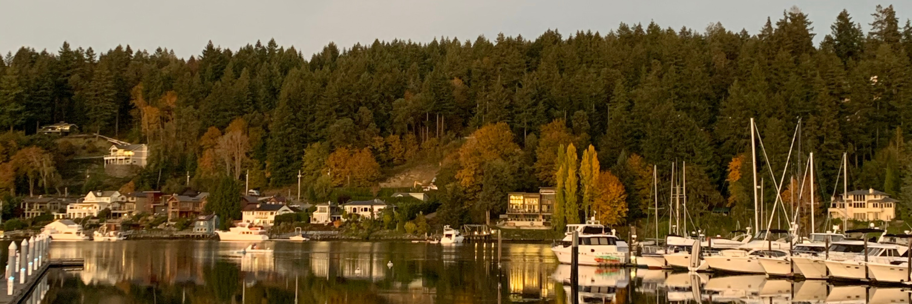 GIG HARBOR PUMPKIN PATCHES AND BEYOND header image.