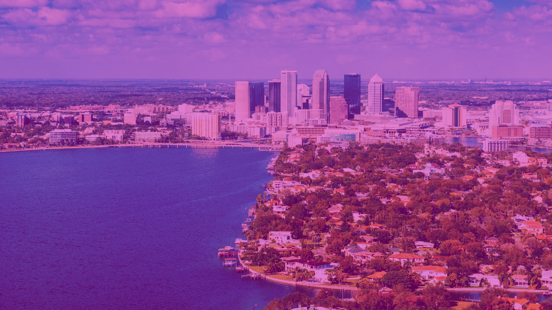 What’s Going On in Tampa Bay’s Real Estate Market? header image.
