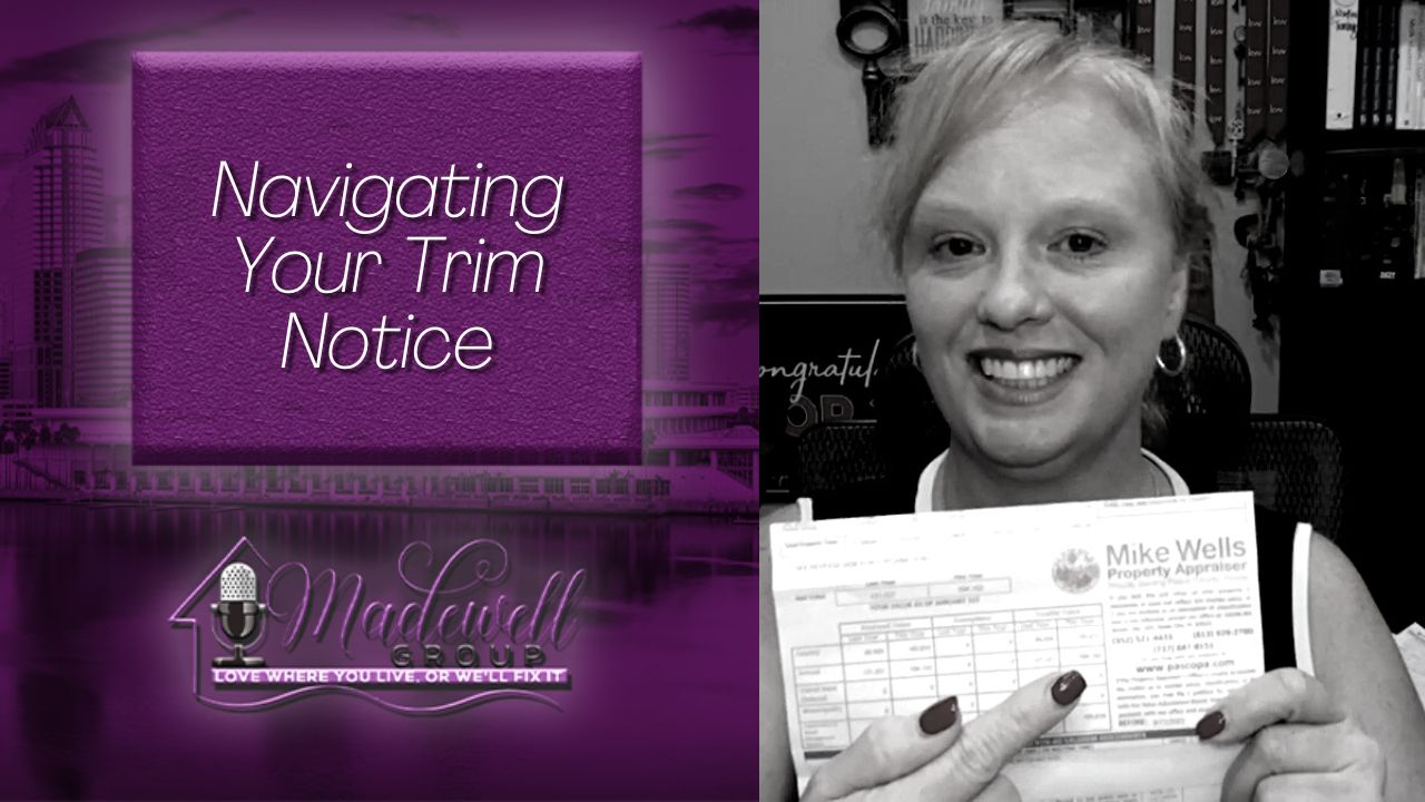 Don't Miss This: Your Guide to Making Sense of Your Trim Notice header image.