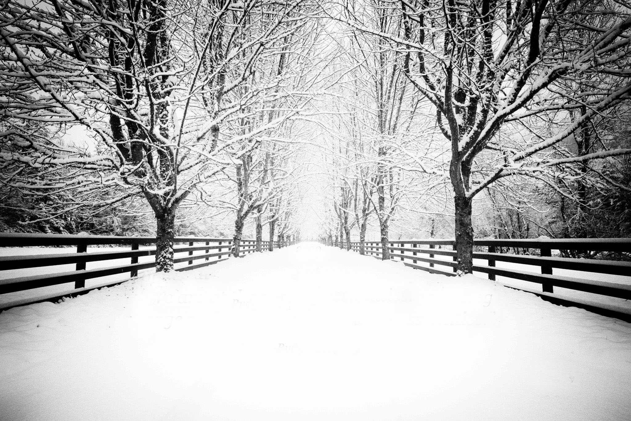 Featured Neighborhoods: North Bend header image.