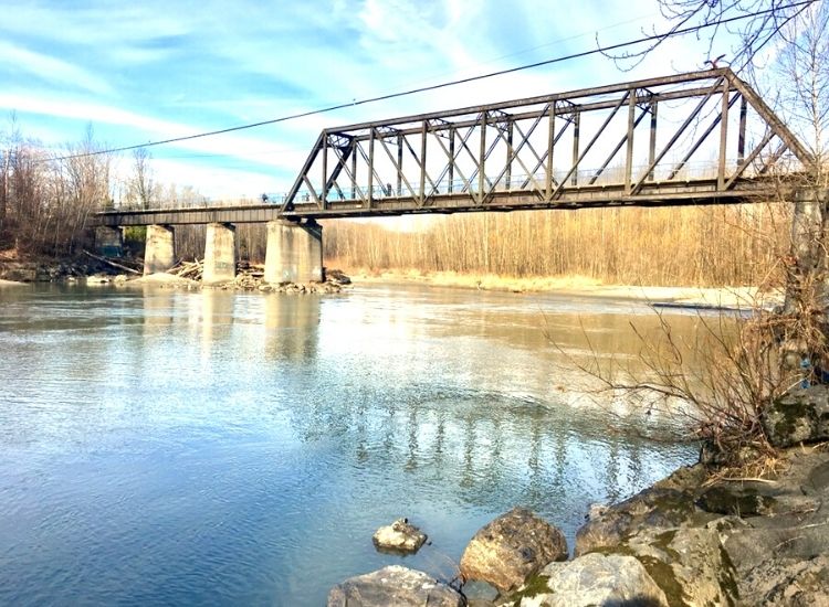 Featured Neighborhoods: Arlington header image.