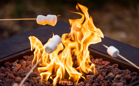Free Marshmallow Roast and Christmas Caroling header image.