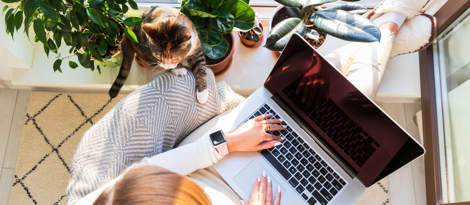 How to Choose a Mortgage Lender in Chattanooga header image.