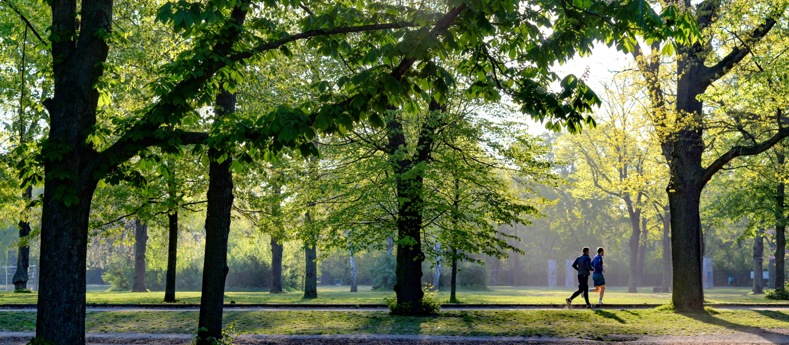 The Best Parks and Outdoor Spaces in Chattanooga header image.