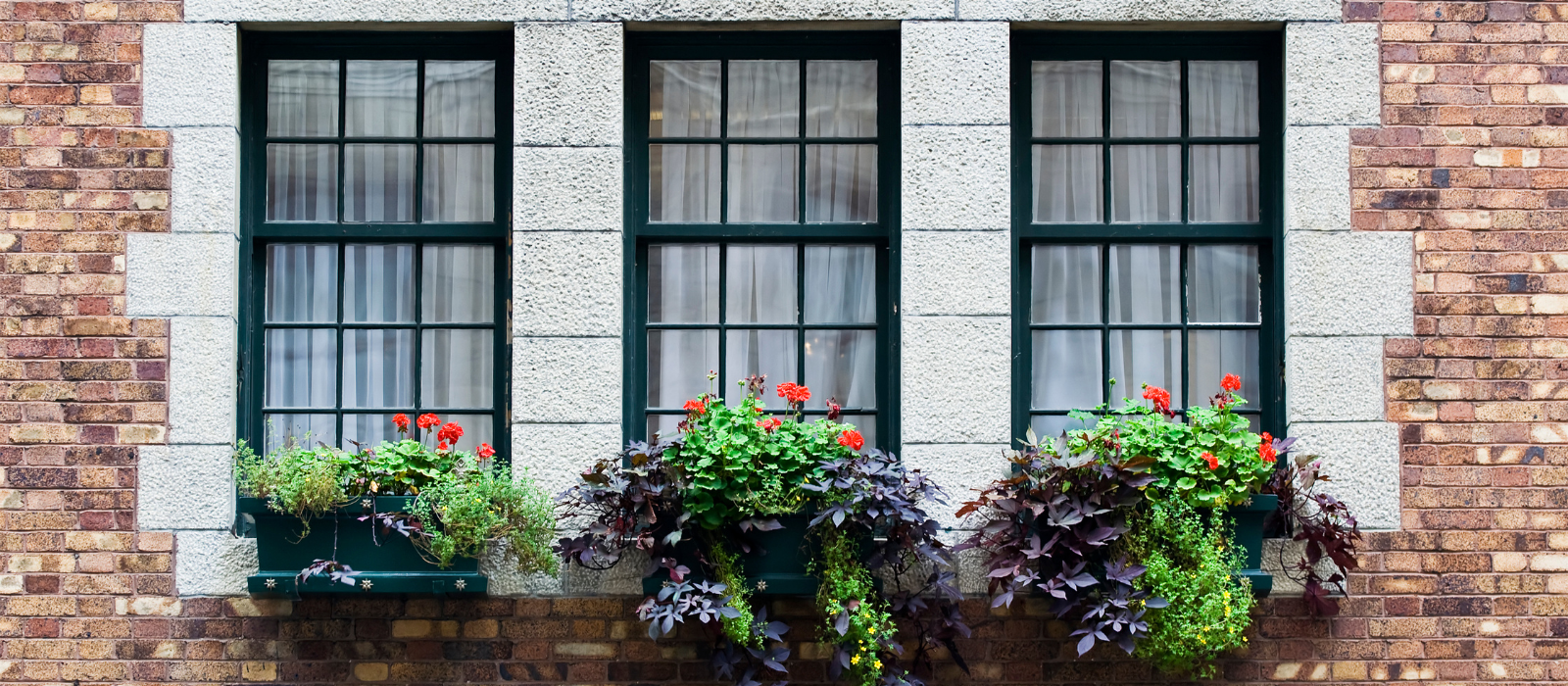 Sustainable Home Tips for Chattanooga Residents header image.