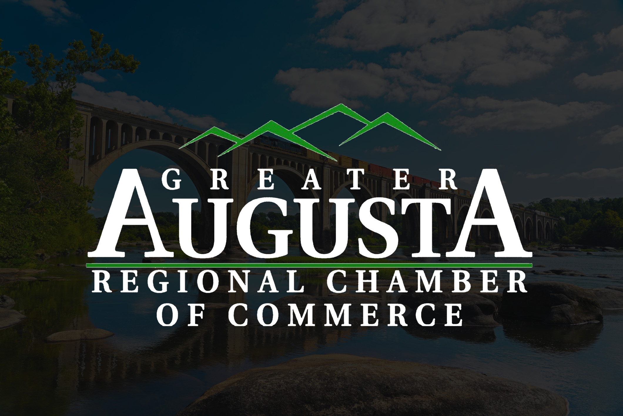 Ann Humphries Accepted to Leadership Greater Augusta Class of 2025 header image.