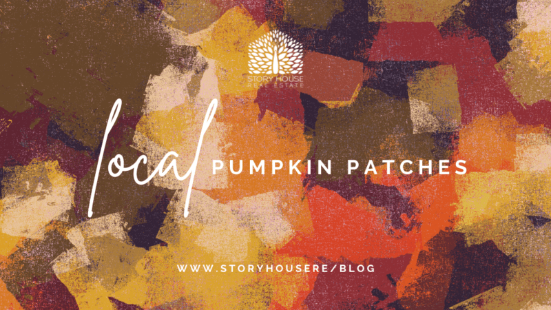 Best Places for Pumpkin Picking Near Charlottesville header image.
