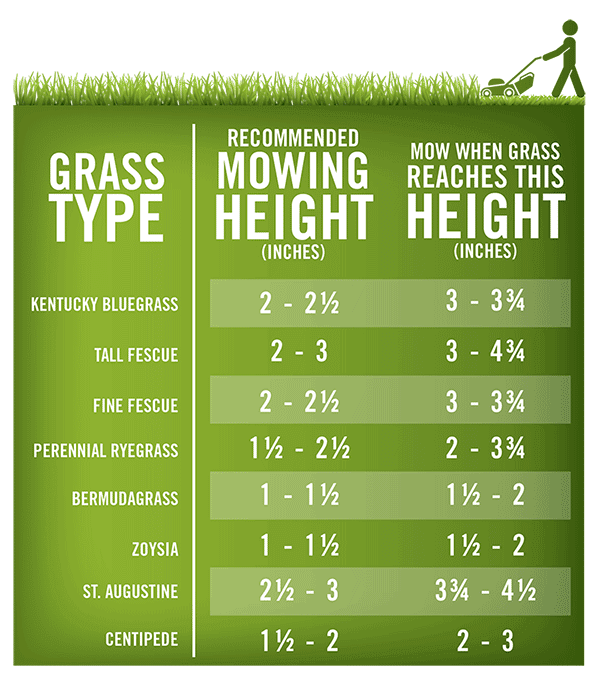 How Low Should you Mow? header image.